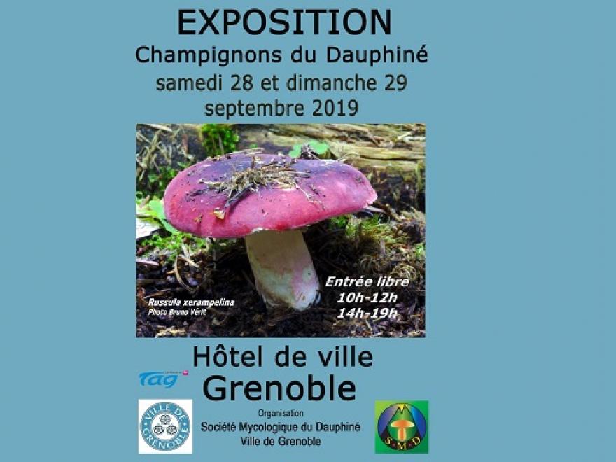 Affiche Exposition champignon,Grenoble 2019 SMD38