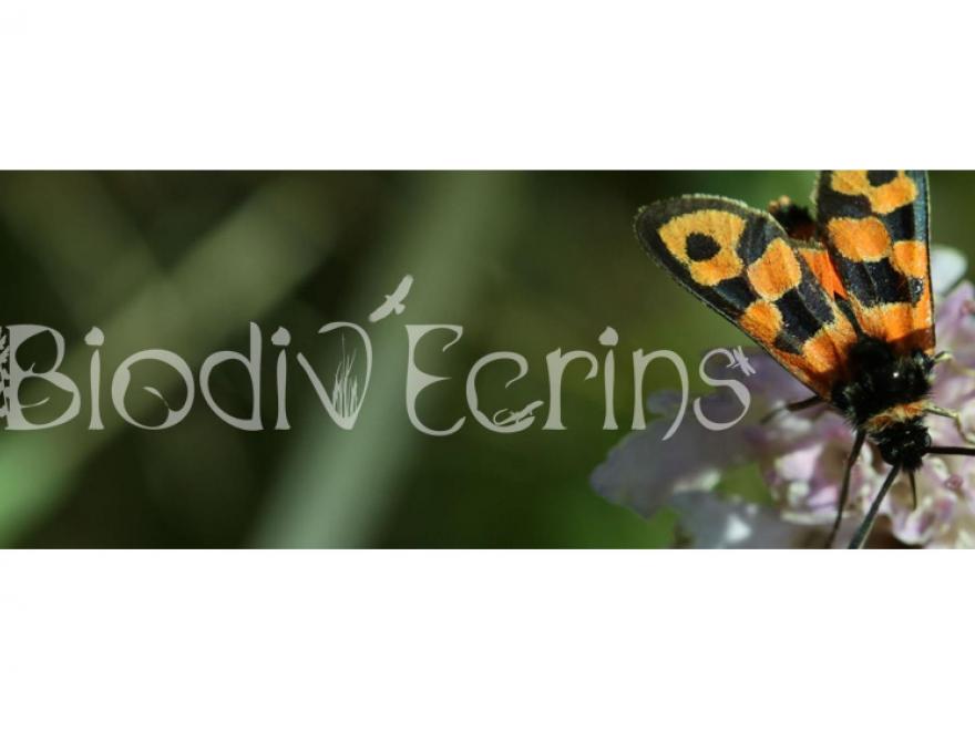 Biodov'Ecrins - bandosite, nature isère