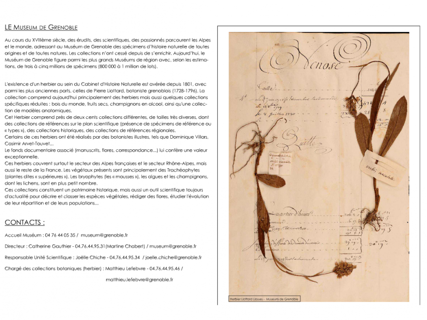 Une page du Catalogue de l’Herbier du Muséum de Grenoble (GRM), nature isère