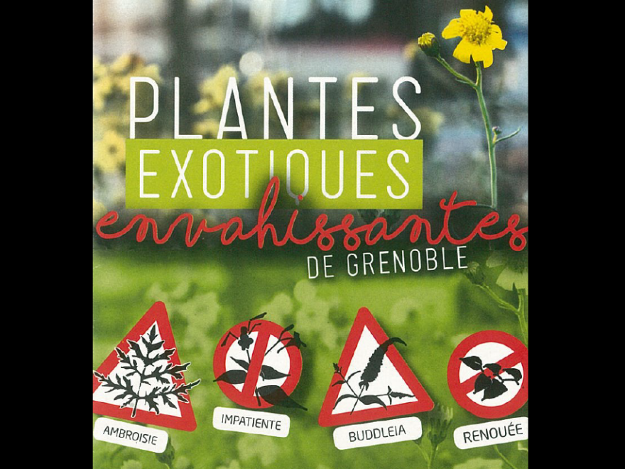 Capture écran de la plaquette plantes exotiques envahissantes de Grenoble, nature isère