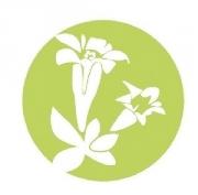 Logo Gentiana nature isère