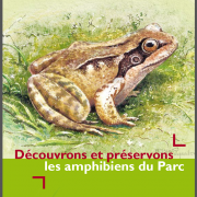 Page de couverture du guide sur les amphibiens du parc naturel régional Oise-Pays de France