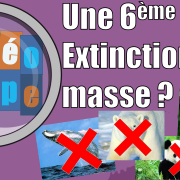 Y a t-il une 6ème Extinction de masse ?