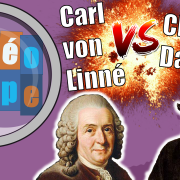  Linné VS Darwin ! La classification du vivant #1