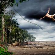 Affiche publicitaire de WWF (World Wide Fund for Nature ou Fonds mondial pour la nature), nature isère