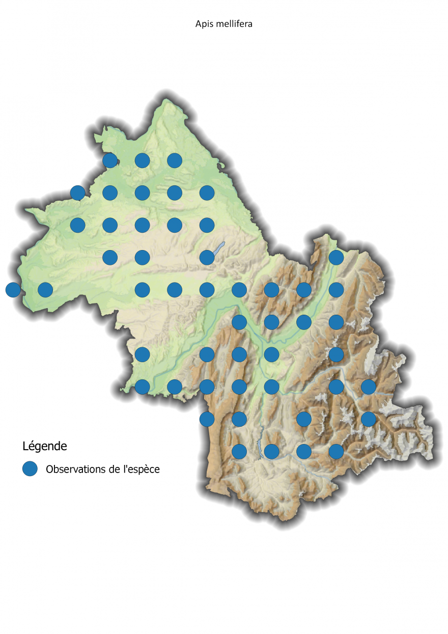 Carte de répartition de l'Abeille domestique en Isère, Nature Isère