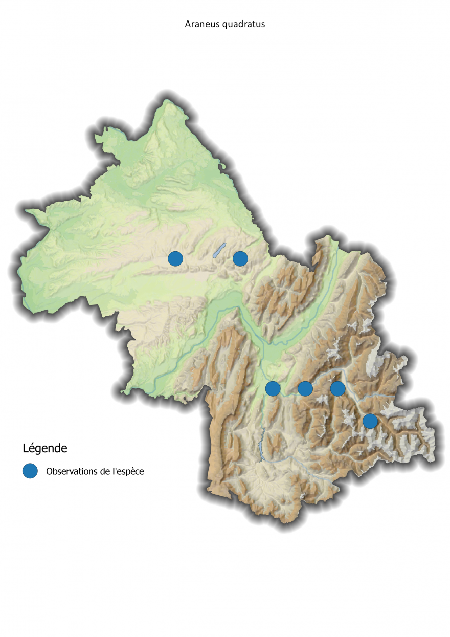 Carte de répartition de l'Épeire à quatre points en Isère - Nature Isère
