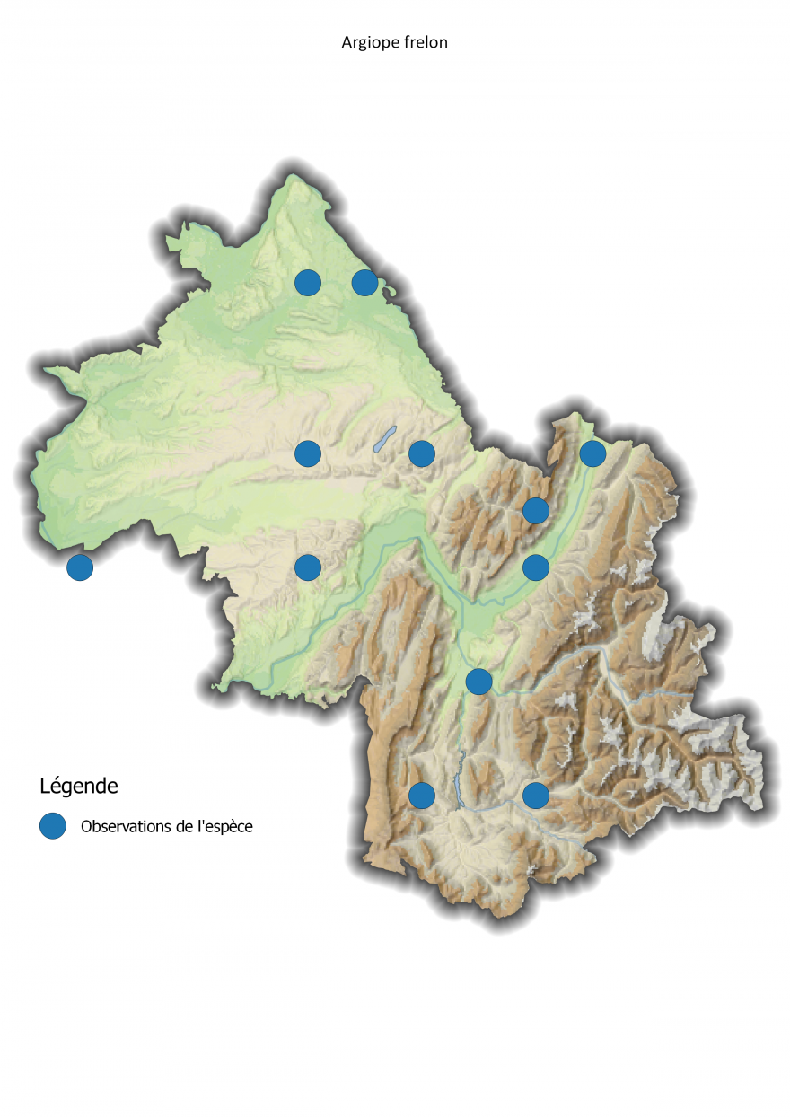 Carte de répartition de l'argiope frelon en Isère - Nature Isère.