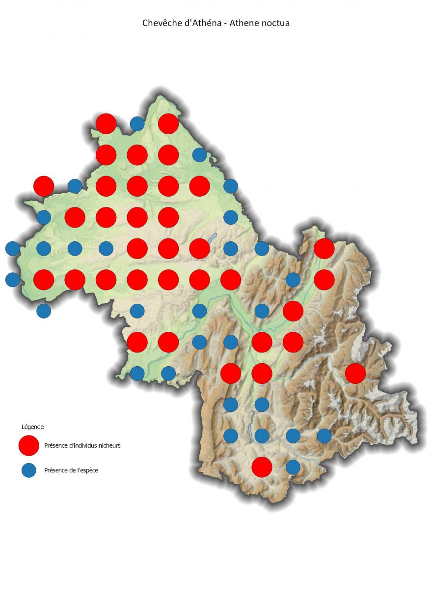 Répartition de la chevêche d'Athéna en Isère (2001-2016).