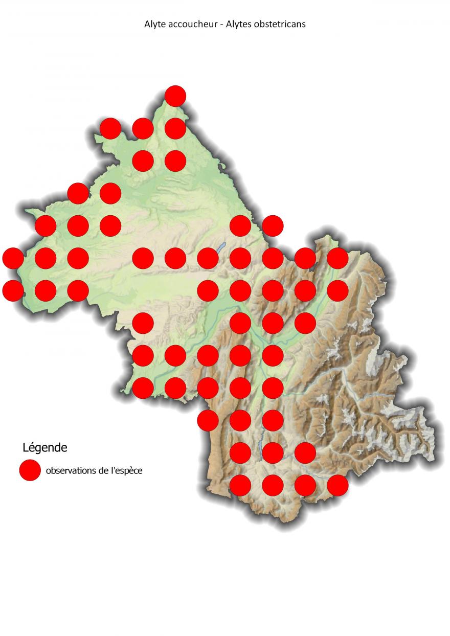 Carte de répartition de l'alyte accoucheur en Isère (2001-2016).