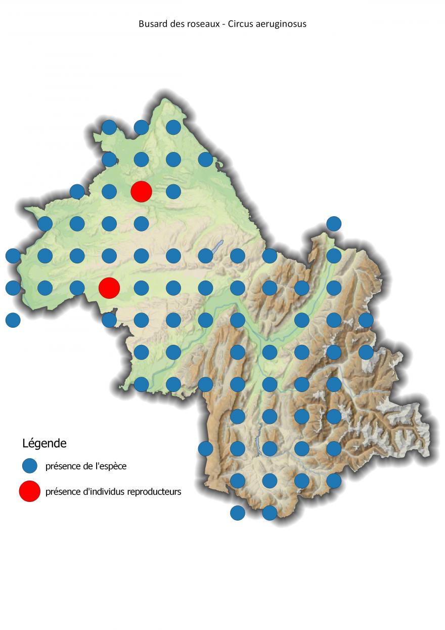 Carte de répartition du busard des roseaux en Isère (2001-2016).