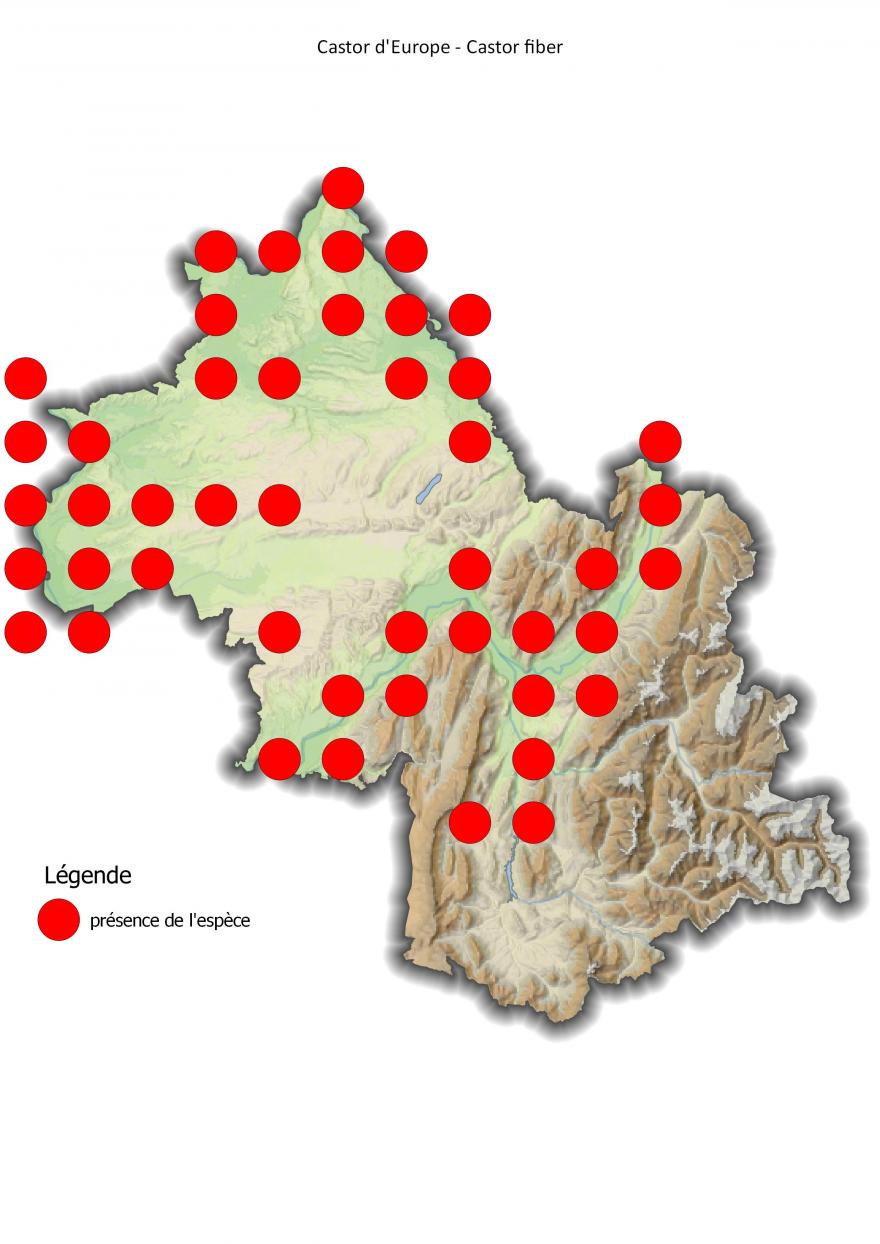 Carte de répartition du castor d'Europe en Isère (2001-2016).