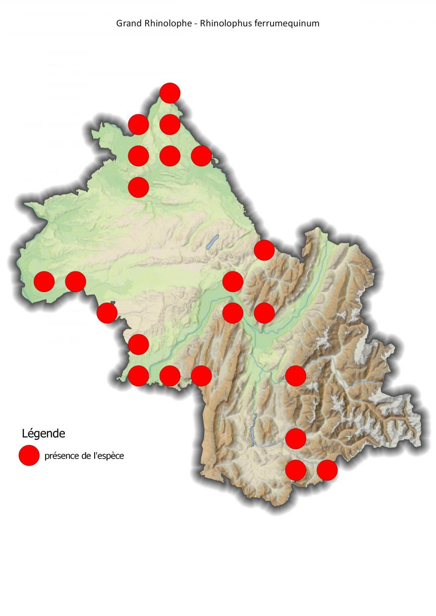 Carte de répartition du grand rhinolophe en Isère (2001-2016).