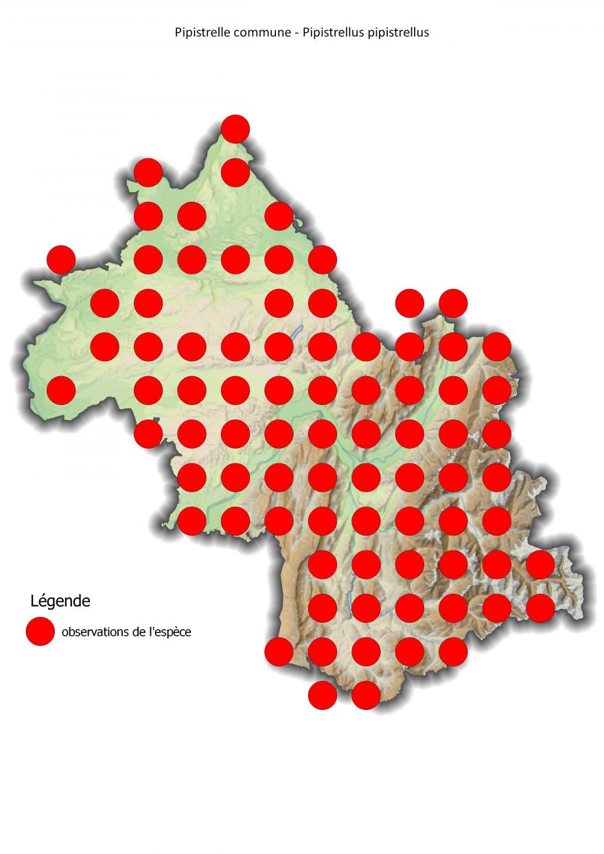 Carte de répartition de la pipistrelle commune en Isère (2001-2016).