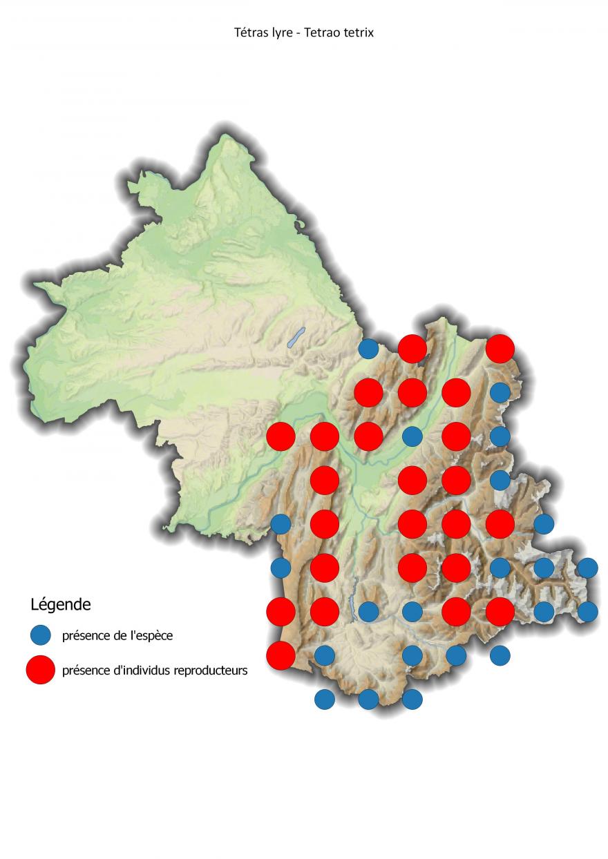 Carte de répartition du tétras lyre en Isère (2001-2016).
