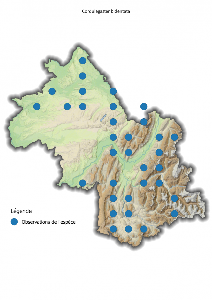 Carte de répartition du Cordulégastre bidenté en Isère, Nature Isère