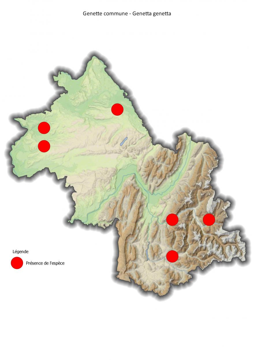 Répartition de la genette commune en Isère (2001-2016).