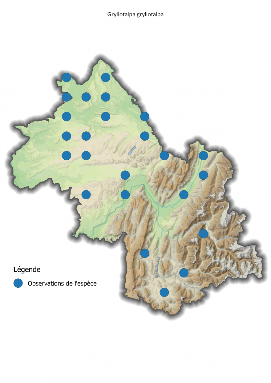 Carte de répartition de la Courtillère des jardins en Isère, Nature Isère