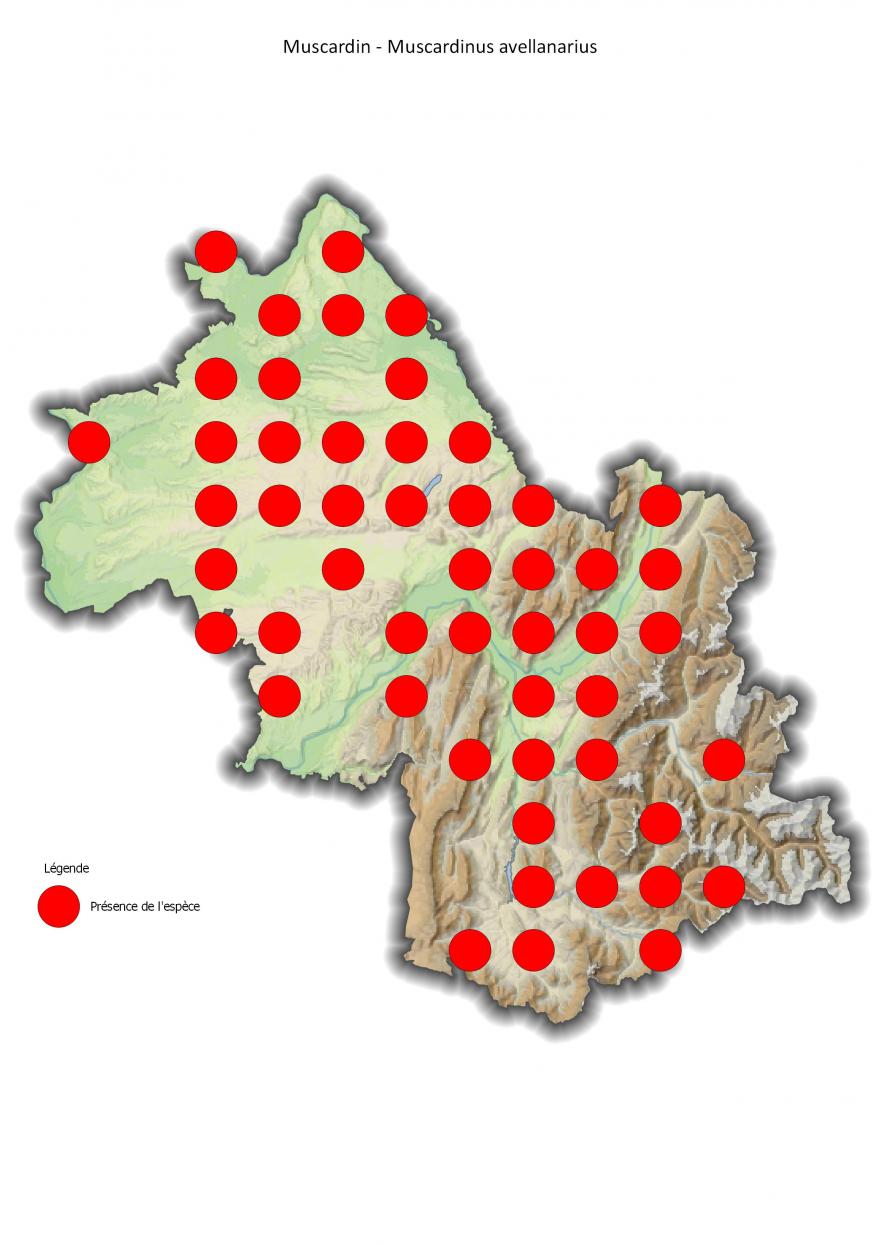Répartition du muscardin en Isère (2001-2016).