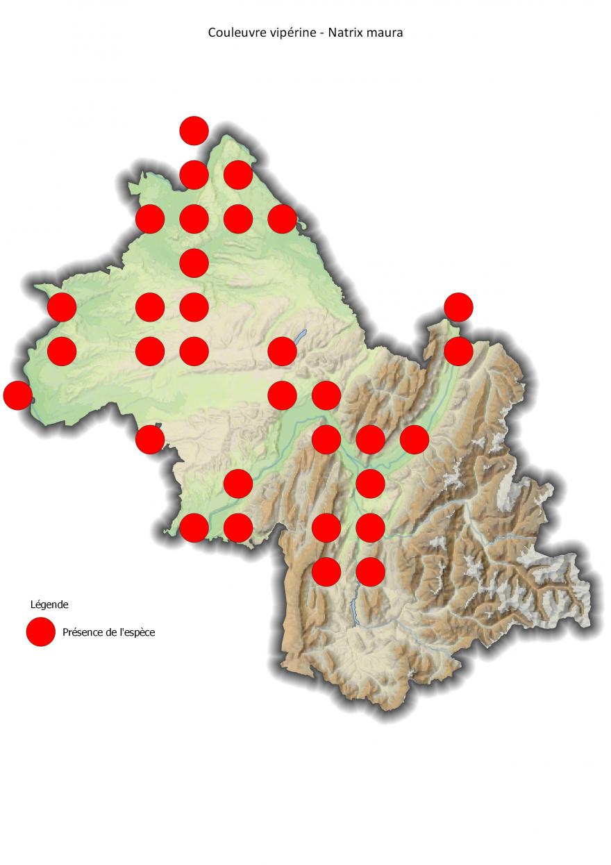 Carte de répartition de la couleuvre vipérine en Isère (2001-2016).