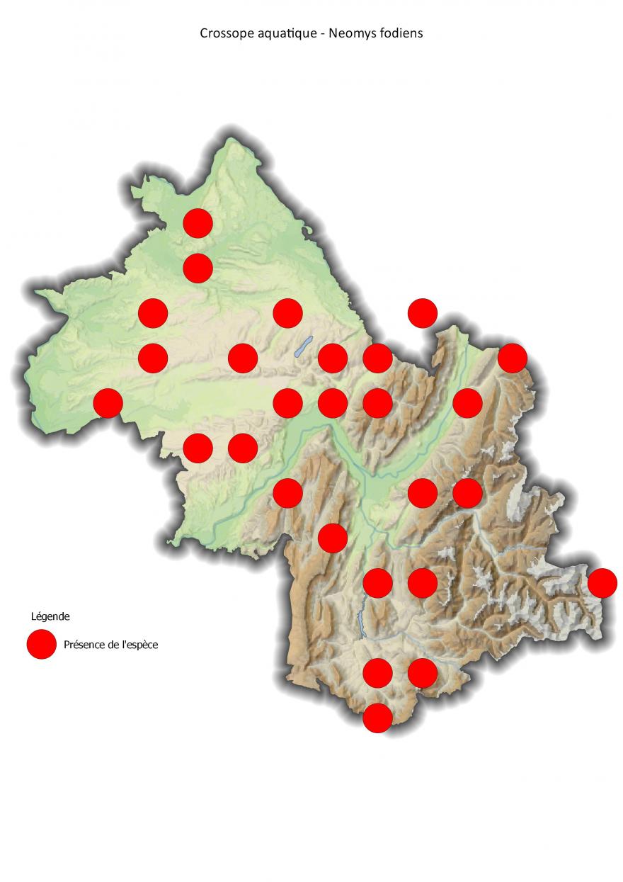 Répartition du crossope aquatique en Isère (2001-2016).