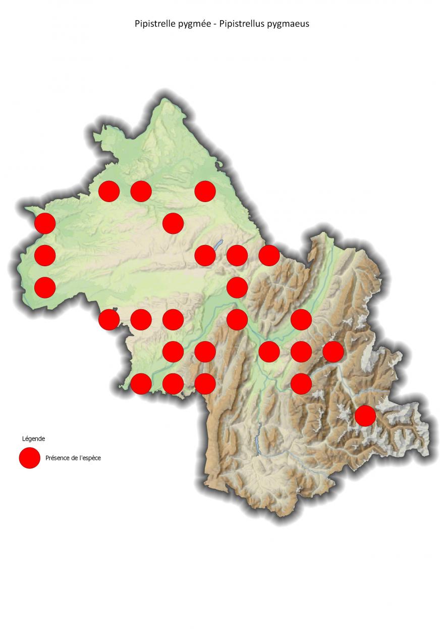 Répartition de la pipistrelle pygmée en Isère (2001-2016).