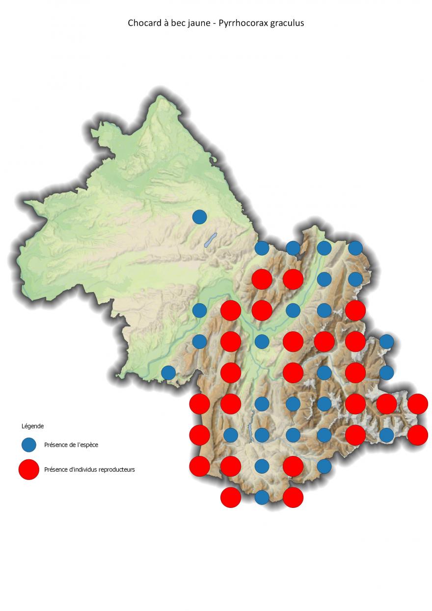 Répartition du chocard à bec jaune en Isère (2001-2016).