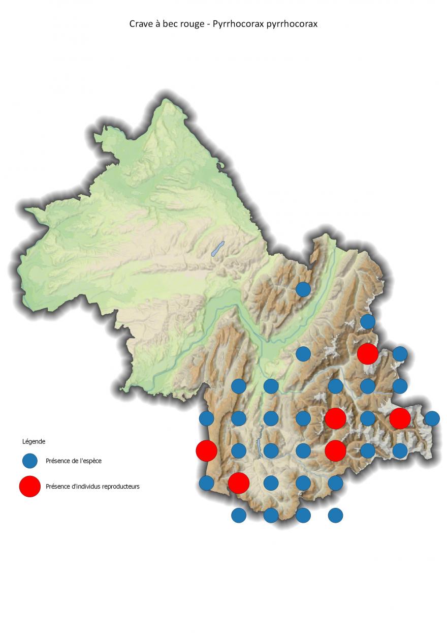 Répartition du crave à bec rouge en Isère (2001-2016).