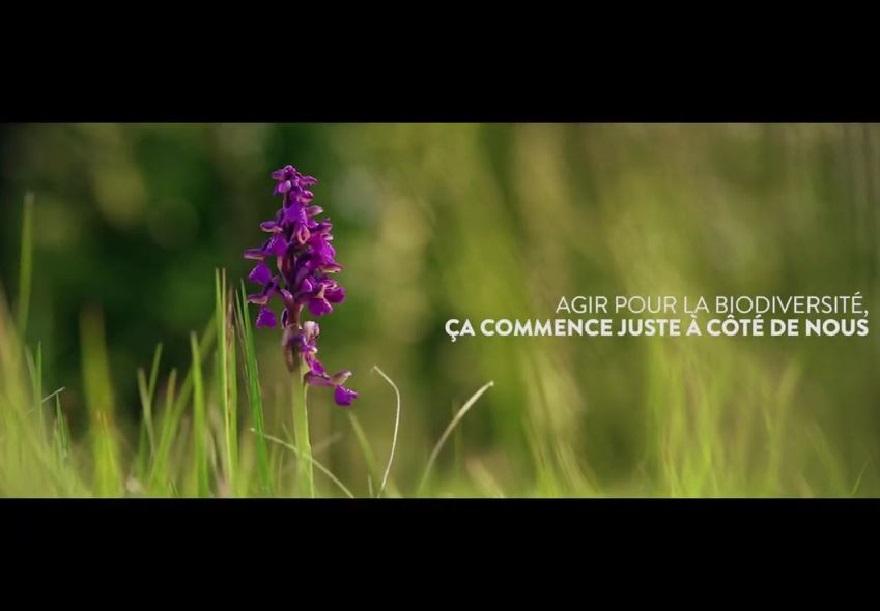 Vidéo sur les espaces naturels sensibles de l'Isère (ENS) sur nature isère