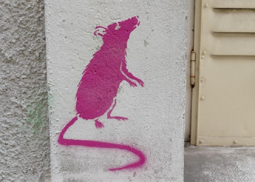 RAT – pochoir – rue des Dauphins – Grenoble, photo J-M Coquelet, CC-BY-NC-ND